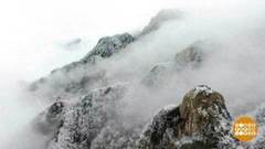 В мире. Подарок природы. Доброе утро. Фрагмент выпуска от 20.02.2019