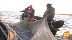 Ловись, корюшка! Доброе утро. Фрагмент выпуска от 09.04.2019