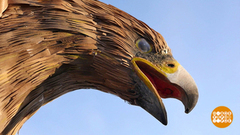 Шедевры из стружки. Доброе утро. Фрагмент выпуска от 08.05.2019