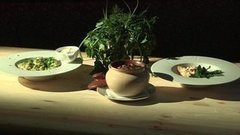 Лепим пельмени. Доброе утро. Фрагмент выпуска от 26.11.2015