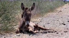В мире. Засуха. Доброе утро. Фрагмент выпуска от 02.12.2015