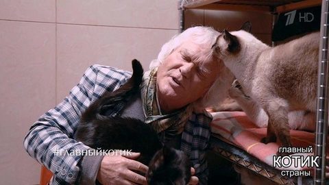 200 кошек Юрия Куклачева. Главный котик страны. Фрагмент выпуска от 22.10.2017