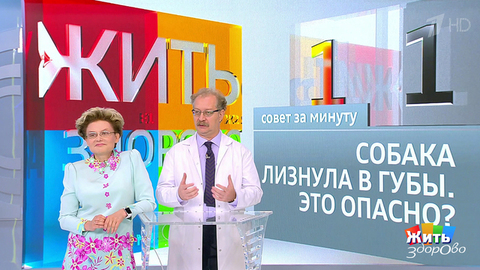 Совет за минуту: собака лизнула в губы. Жить здорово! Фрагмент выпуска от 20.08.2018