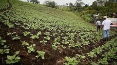 В мире. День независимости в Коста-Рике. Доброе утро. Фрагмент выпуска от 15.09.2015