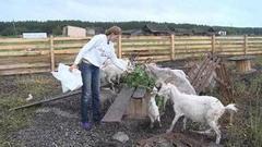 Краудфандинг, а по-нашему — складчина. Доброе утро. Фрагмент выпуска от 26.07.2016