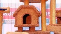 Домик-когтеточка. Доброе утро. Фрагмент выпуска от 04.10.2016