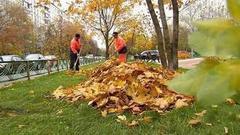 Падают, падают листья… Доброе утро. Фрагмент выпуска от 17.10.2016