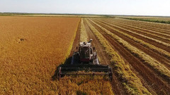 Урожай собран! Доброе утро. Фрагмент выпуска от 03.11.2016