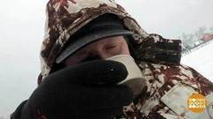 Лечим пиелонефрит. Доброе утро. Фрагмент выпуска от 10.02.2017