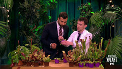 Ботанический сад. Вечерний Ургант. Фрагмент выпуска от 06.03.2017