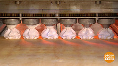 Как делают зефир. Доброе утро. Фрагмент выпуска от 19.04.2017