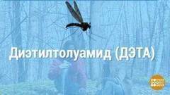 Летают и кусают. Доброе утро. Фрагмент выпуска от 10.05.2017