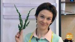 Можжевельник и картошка — против запаха. Доброе утро. Фрагмент выпуска от 16.05.2017