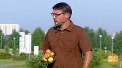 Юрий Воскобойников. Доброе утро. Фрагмент выпуска от 18.08.2017