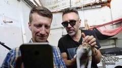 Как Сергей Шнуров тель-авивскую кошку пристроил. Главный котик страны. Фрагмент выпуска от 24.09.2017