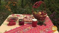 Пять рябиновых советов. Доброе утро. Фрагмент выпуска от 11.10.2017