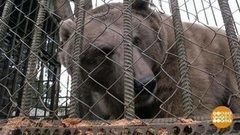 Сладкоежка Маша. Доброе утро. Фрагмент выпуска от 16.11.2017