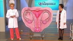 Странные вопросы о женской груди. Формирование груди у девочки. Здоровье. Фрагмент выпуска от 04.10.2015