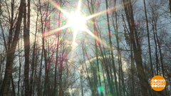 Признаки весны. Доброе утро. Фрагмент выпуска от 16.04.2018