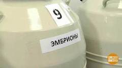 ЭКО — бесплатно. Доброе утро. Фрагмент выпуска от 24.04.2018