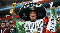 Маскарад на трибунах. Чемпионат мира по футболу FIFA 2018 в России™