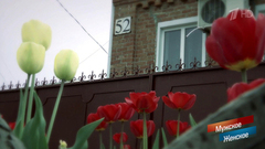 Дом Разгонов. Мужское / Женское. Выпуск от 13.08.2018