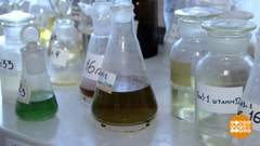 Бактерии-чистильщики. Доброе утро. Фрагмент выпуска от 26.09.2018