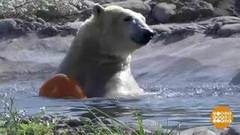 В мире. Тыквы к празднику. Доброе утро. Фрагмент выпуска от 22.10.2018