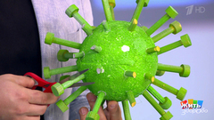 Грипп: прорыв в лечении. Жить здорово! Фрагмент выпуска от 06.12.2018