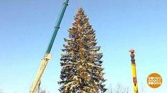 Главная елка едет в Кремль! Доброе утро. Фрагмент выпуска от 17.12.2018