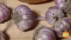 Чесночок… с хлором? Доброе утро. Фрагмент выпуска от 21.12.2018