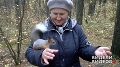 Друзья мои — белки. Видели видео? Фрагмент выпуска от 06.01.2019