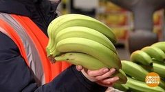 Приключения бананов в России. Доброе утро. Фрагмент выпуска от 25.03.2019