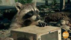 «Животных не кормить!» Доброе утро. Фрагмент выпуска от 14.05.2019