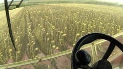 Продукты: почему растут цены? Доброе утро. Фрагмент выпуска от 03.11.2015