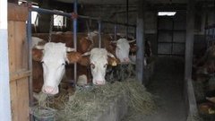 В мире. Всемирный день качества. Доброе утро. Фрагмент выпуска от 12.11.2015