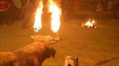 В мире. Фестиваль с быками. Доброе утро. Фрагмент выпуска от 09.12.2015