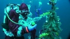 Чем заняться на каникулах. Доброе утро. Фрагмент выпуска от 30.12.2015