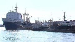 Скоро путина. Доброе утро. Фрагмент выпуска от 25.05.2016