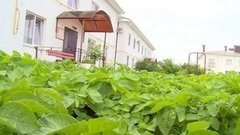 Городской огород. Доброе утро. Фрагмент выпуска от 06.06.2016