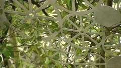 «Умный сад» и лабиринт из туи. Доброе утро. Фрагмент выпуска от 04.07.2016