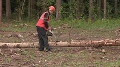 Лес болеет? Рубим! Доброе утро. Фрагмент выпуска от 14.07.2016