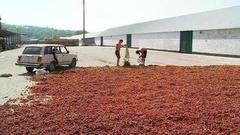 Орешек к орешку. Доброе утро. Фрагмент выпуска от 26.08.2016