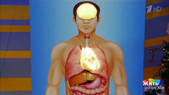 Как начать работать после долгих праздников. Жить здорово! Фрагмент выпуска от 10.01.2017