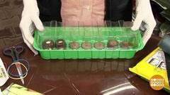 Горшочки для рассады. Доброе утро. Фрагмент выпуска от 14.03.2017