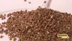 Чудо-каша — гречка. Контрольная закупка. Фрагмент выпуска от 27.09.2017