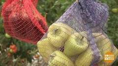 Сохранить овощной урожай. Доброе утро. Фрагмент выпуска от 12.10.2017