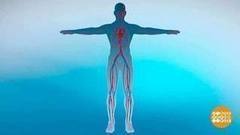 Зимние болезни. Доброе утро. Фрагмент выпуска от 25.01.2018