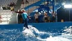 Лера Кудрявцева. Профайл. Вместе с дельфинами. Фрагмент выпуска от 10.10.2015