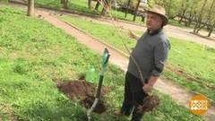 Разрешите посадить деревце. Доброе утро. Фрагмент выпуска от 15.05.2018